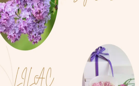 Petal Power: Honoring Mum on Mother's Day with Mizami Flowers
